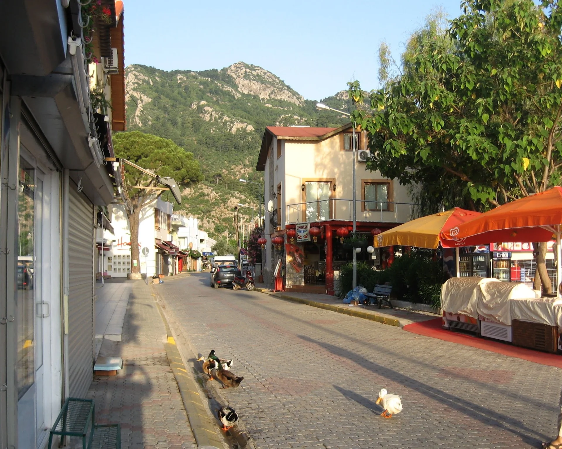 Fotoğraf 22
